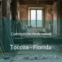 Commercial Restoration Toccoa - Florida