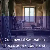 Commercial Restoration Toccopola - Louisiana
