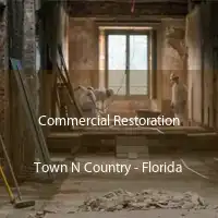 Commercial Restoration Town N Country - Florida