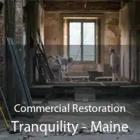 Commercial Restoration Tranquility - Maine