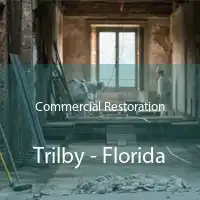 Commercial Restoration Trilby - Florida