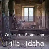 Commercial Restoration Trilla - Idaho