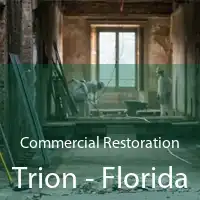 Commercial Restoration Trion - Florida