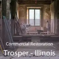Commercial Restoration Trosper - Illinois
