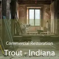 Commercial Restoration Trout - Indiana