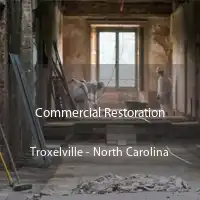 Commercial Restoration Troxelville - North Carolina