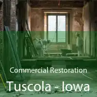 Commercial Restoration Tuscola - Iowa