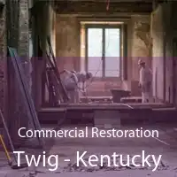 Commercial Restoration Twig - Kentucky