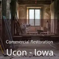 Commercial Restoration Ucon - Iowa