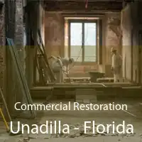 Commercial Restoration Unadilla - Florida