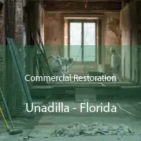 Commercial Restoration Unadilla - Florida