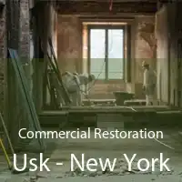 Commercial Restoration Usk - New York