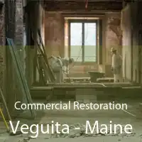 Commercial Restoration Veguita - Maine