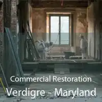 Commercial Restoration Verdigre - Maryland