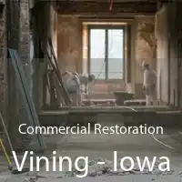 Commercial Restoration Vining - Iowa