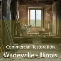 Commercial Restoration Wadesville - Illinois