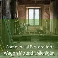 Commercial Restoration Wagon Mound - Michigan