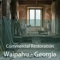 Commercial Restoration Waipahu - Georgia
