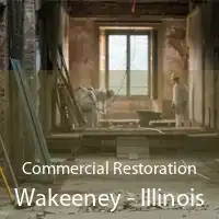 Commercial Restoration Wakeeney - Illinois