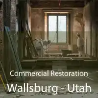 Commercial Restoration Wallsburg - Utah