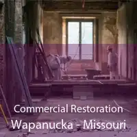 Commercial Restoration Wapanucka - Missouri