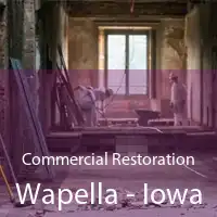 Commercial Restoration Wapella - Iowa