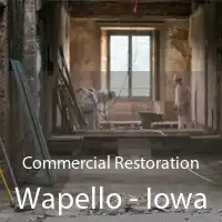 Commercial Restoration Wapello - Iowa