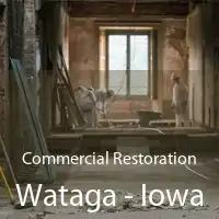 Commercial Restoration Wataga - Iowa