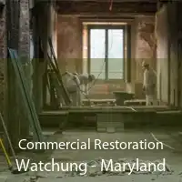 Commercial Restoration Watchung - Maryland