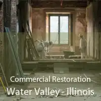 Commercial Restoration Water Valley - Illinois