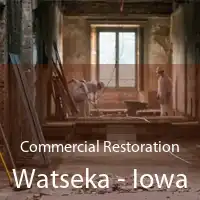 Commercial Restoration Watseka - Iowa