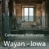 Commercial Restoration Wayan - Iowa