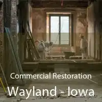 Commercial Restoration Wayland - Iowa