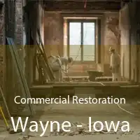 Commercial Restoration Wayne - Iowa