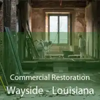 Commercial Restoration Wayside - Louisiana