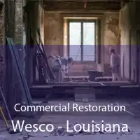 Commercial Restoration Wesco - Louisiana
