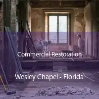 Commercial Restoration Wesley Chapel - Florida