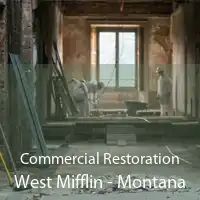 Commercial Restoration West Mifflin - Montana