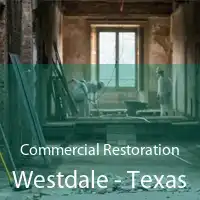 Commercial Restoration Westdale - Texas