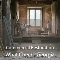 Commercial Restoration What Cheer - Georgia