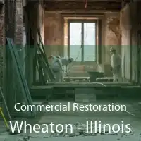 Commercial Restoration Wheaton - Illinois