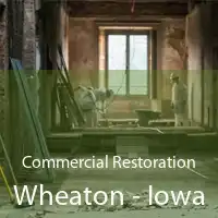 Commercial Restoration Wheaton - Iowa
