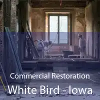 Commercial Restoration White Bird - Iowa