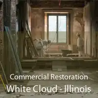Commercial Restoration White Cloud - Illinois