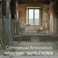 Commercial Restoration White Deer - North Carolina