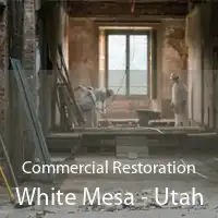 Commercial Restoration White Mesa - Utah