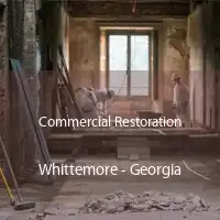 Commercial Restoration Whittemore - Georgia