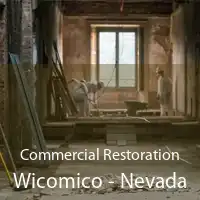 Commercial Restoration Wicomico - Nevada