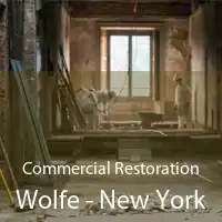 Commercial Restoration Wolfe - New York