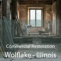 Commercial Restoration Wolflake - Illinois
